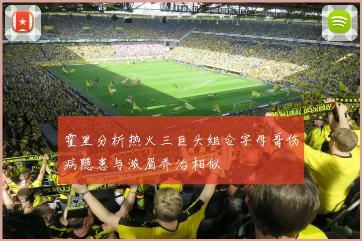 霍里分析热火三巨头组合字母哥伤病隐患与浓眉乔治相似